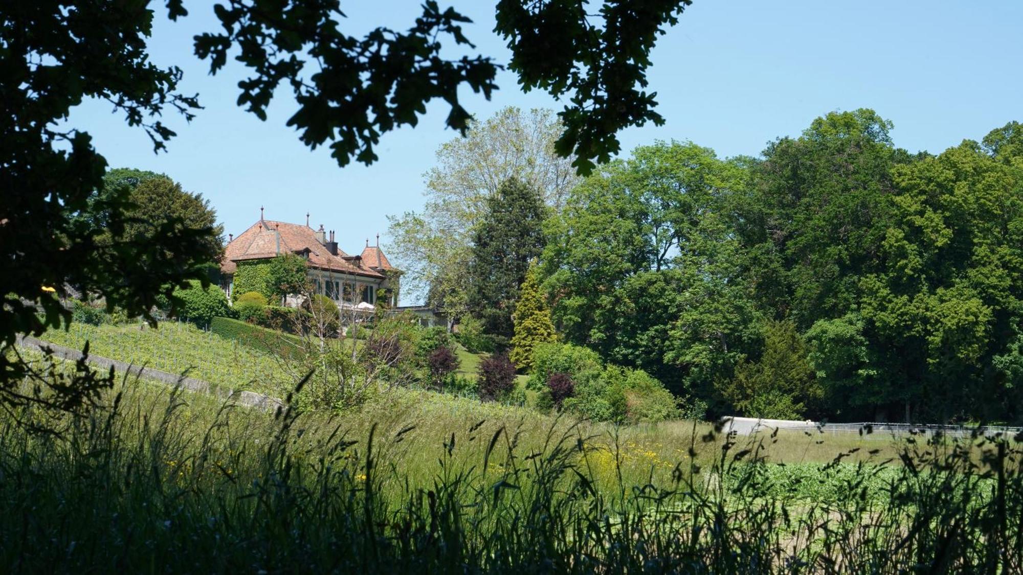 Le Chateau Lavigny Екстериор снимка